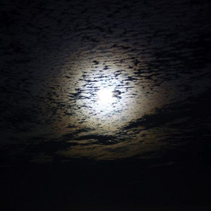 #28 Night Moon